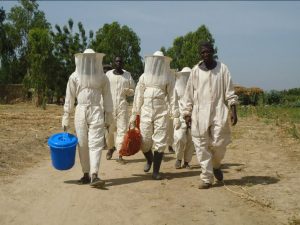 AGRICOLTURA SOSTENIBILE IN BURKINA FASO